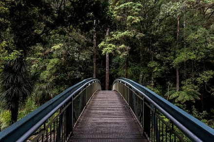 Whangarei Falls, Whangarei, New Zealand